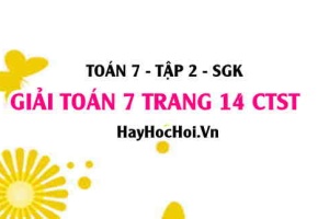 Giải Toán 7 trang 14 tập 2 Chân trời sáng tạo SGK